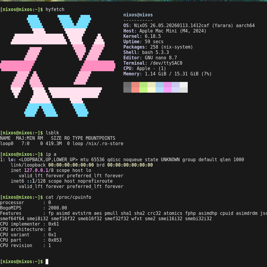 Screenshot of a terminal. Shows a hyfetch NixOS banner in trans colors. Host: Apple Mac Mini (M4, 2024), CPU: 1 Also shown: output of ip a (without any interfaces besides loopback), lsblk  (with no block devices besides the Nix store mounted from loop0), and cpuinfo with one core